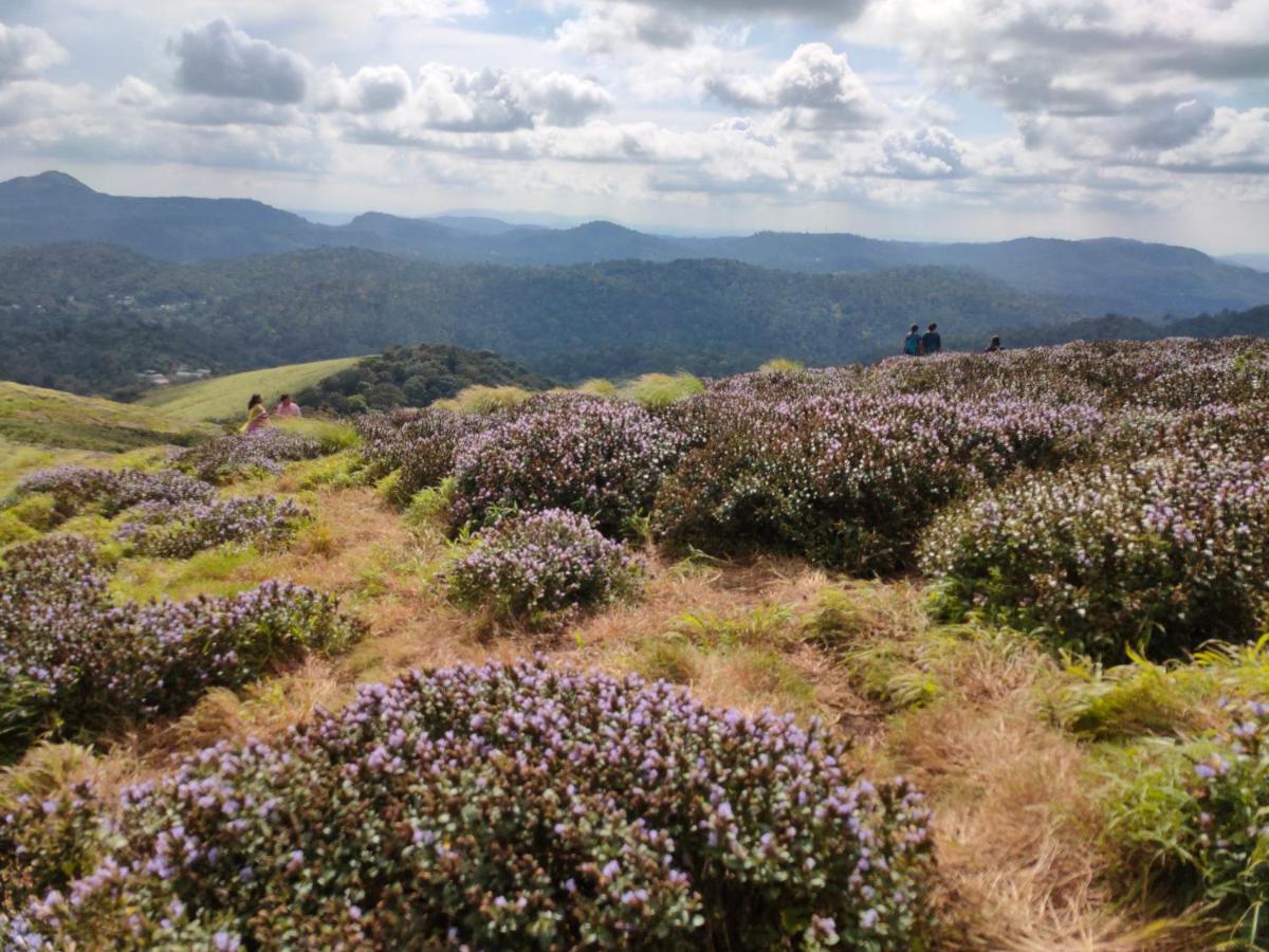 Villoonnickal Homestay Munnar Exteriér fotografie